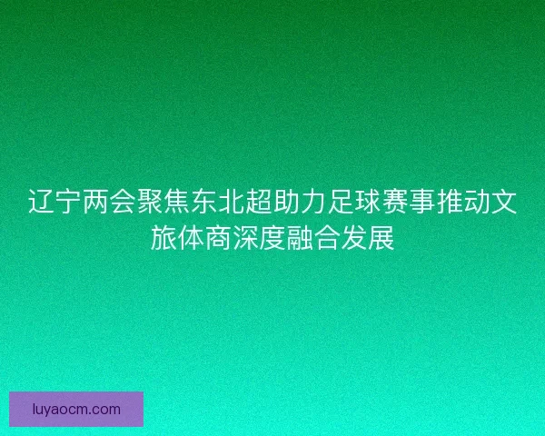 辽宁两会聚焦东北超助力足球赛事推动文旅体商深度融合发展